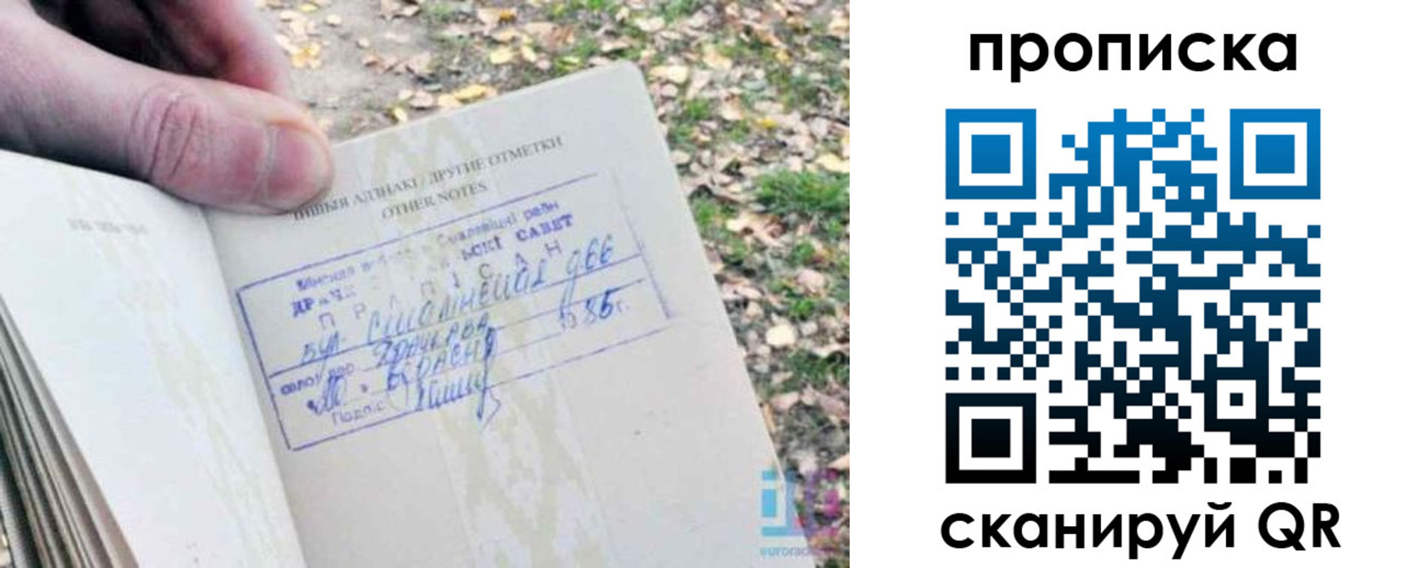 прописка в квартире в Ельце