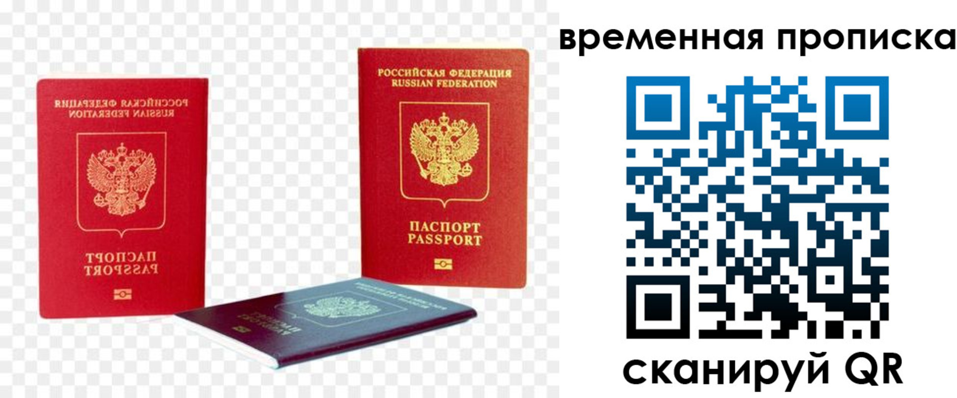 где прописаться в Ельце